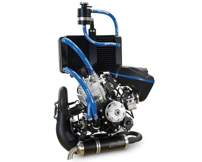Polini Thor 303